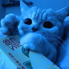 e_sally